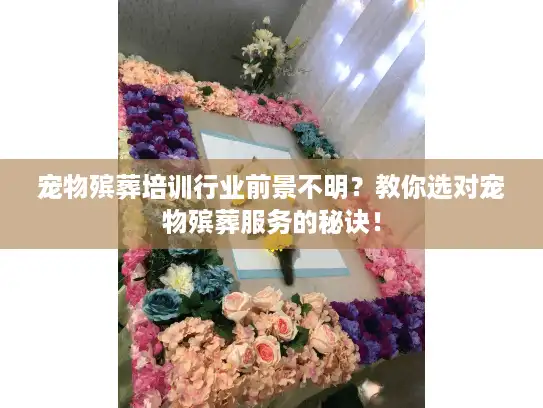 宠物殡葬培训行业前景不明？教你选对宠物殡葬服务的秘诀！