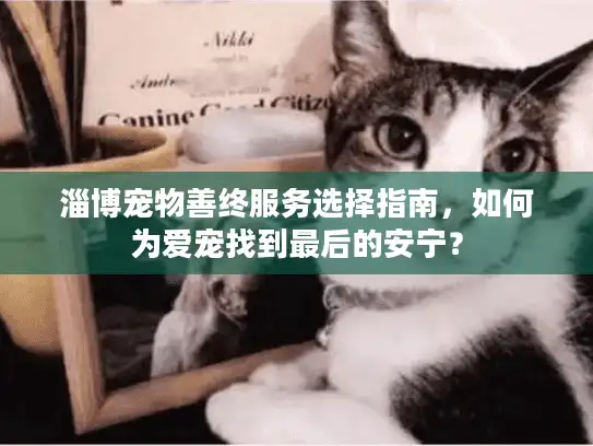 淄博宠物善终服务选择指南，如何为爱宠找到最后的安宁？