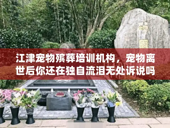 江津宠物殡葬培训机构，宠物离世后你还在独自流泪无处诉说吗？