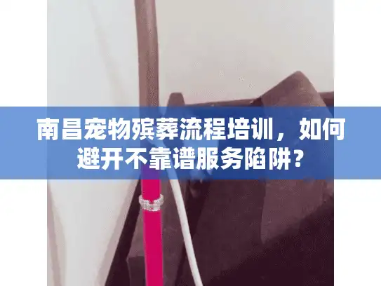 南昌宠物殡葬流程培训，如何避开不靠谱服务陷阱？