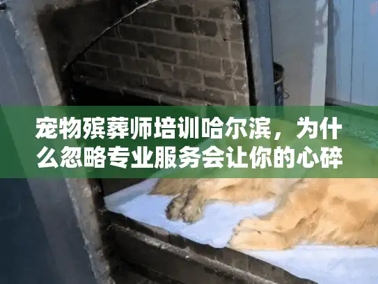 宠物殡葬师培训哈尔滨，为什么忽略专业服务会让你的心碎更痛？