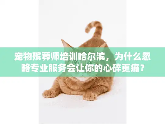 宠物殡葬师培训哈尔滨，为什么忽略专业服务会让你的心碎更痛？