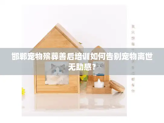 邯郸宠物殡葬善后培训如何告别宠物离世无助感？