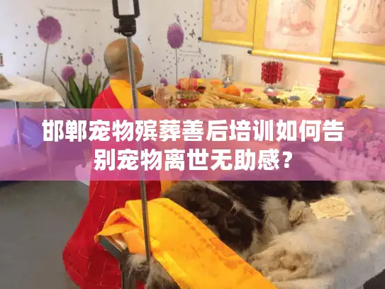 邯郸宠物殡葬善后培训如何告别宠物离世无助感？