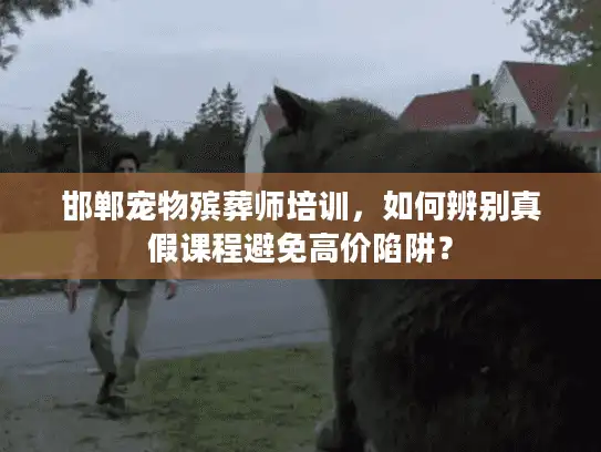 邯郸宠物殡葬师培训，如何辨别真假课程避免高价陷阱？