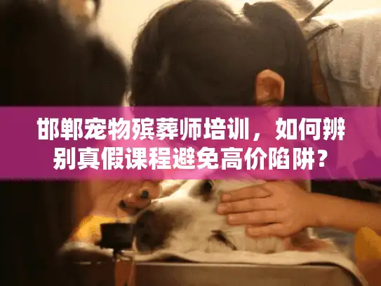 邯郸宠物殡葬师培训，如何辨别真假课程避免高价陷阱？