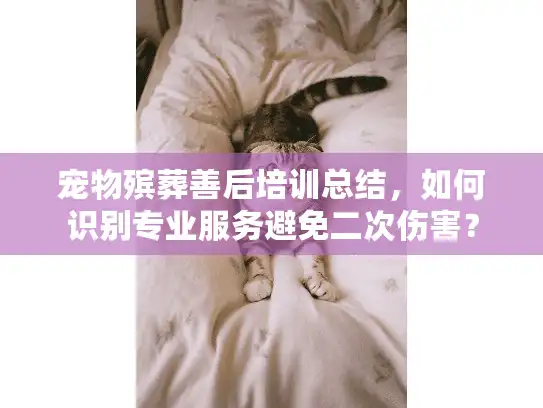 宠物殡葬善后培训总结，如何识别专业服务避免二次伤害？