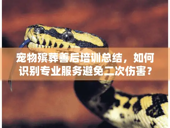 宠物殡葬善后培训总结，如何识别专业服务避免二次伤害？