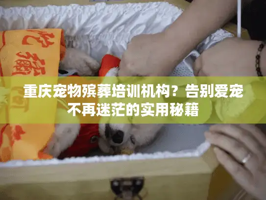 重庆宠物殡葬培训机构？告别爱宠不再迷茫的实用秘籍