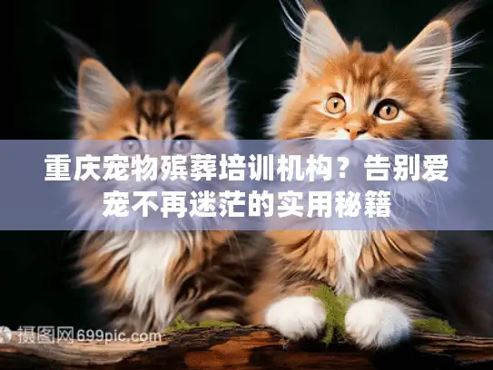 重庆宠物殡葬培训机构？告别爱宠不再迷茫的实用秘籍