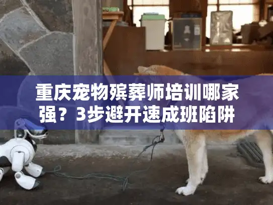 重庆宠物殡葬师培训哪家强？3步避开速成班陷阱