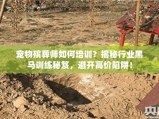宠物殡葬师如何培训？揭秘行业黑马训练秘笈，避开高价陷阱！