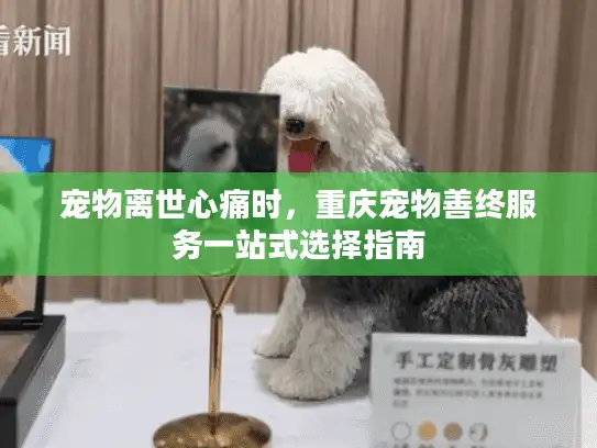 宠物离世心痛时，重庆宠物善终服务一站式选择指南