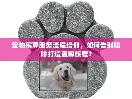 宠物殡葬服务流程培训，如何告别陷阱打造温馨旅程？