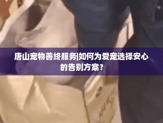 唐山宠物善终服务|如何为爱宠选择安心的告别方案？