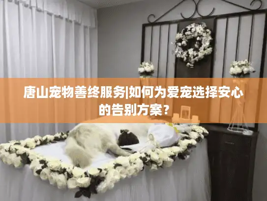 唐山宠物善终服务|如何为爱宠选择安心的告别方案？