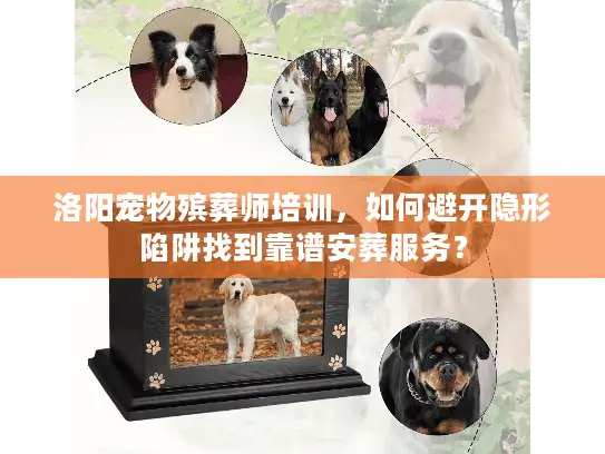 洛阳宠物殡葬师培训，如何避开隐形陷阱找到靠谱安葬服务？