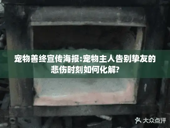宠物善终宣传海报:宠物主人告别挚友的悲伤时刻如何化解?