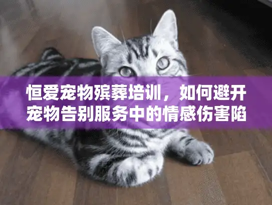 恒爱宠物殡葬培训，如何避开宠物告别服务中的情感伤害陷阱？
