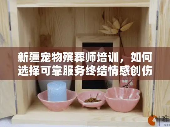 新疆宠物殡葬师培训，如何选择可靠服务终结情感创伤？