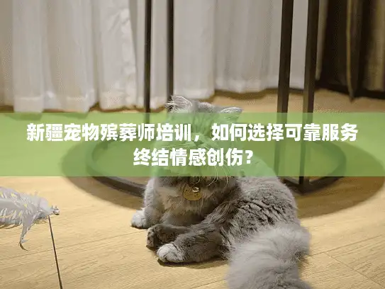 新疆宠物殡葬师培训，如何选择可靠服务终结情感创伤？