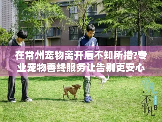 在常州宠物离开后不知所措?专业宠物善终服务让告别更安心