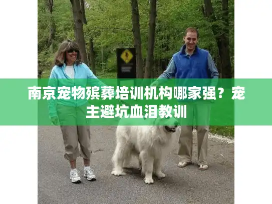 南京宠物殡葬培训机构哪家强？宠主避坑血泪教训