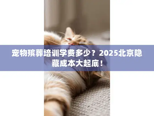 宠物殡葬培训学费多少？2025北京隐藏成本大起底！