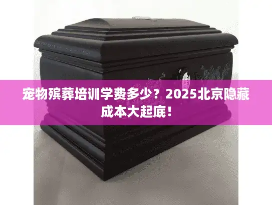宠物殡葬培训学费多少？2025北京隐藏成本大起底！