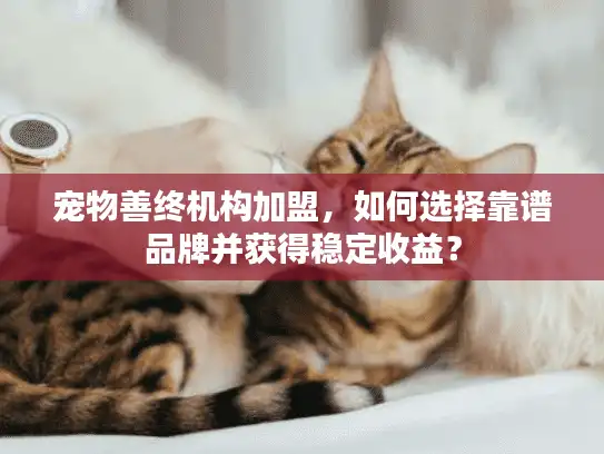 宠物善终机构加盟，如何选择靠谱品牌并获得稳定收益？