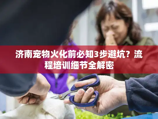 济南宠物火化前必知3步避坑？流程培训细节全解密