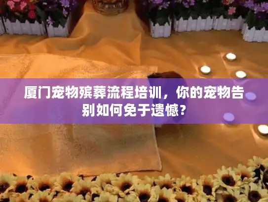 厦门宠物殡葬流程培训，你的宠物告别如何免于遗憾？