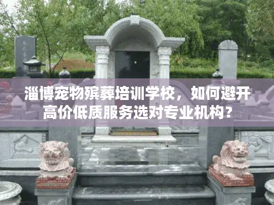 淄博宠物殡葬培训学校，如何避开高价低质服务选对专业机构？