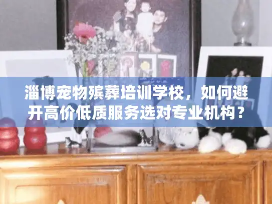 淄博宠物殡葬培训学校，如何避开高价低质服务选对专业机构？