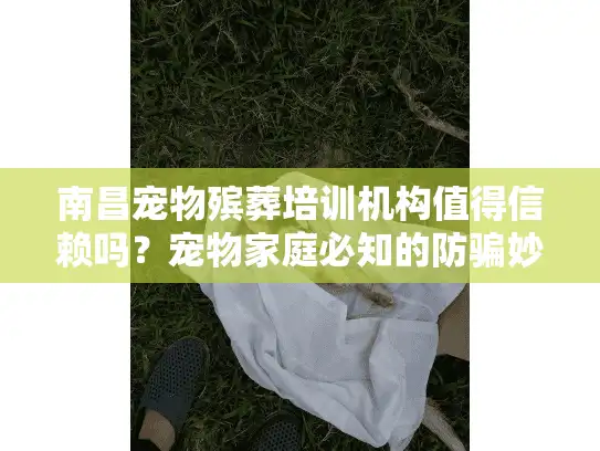 南昌宠物殡葬培训机构值得信赖吗？宠物家庭必知的防骗妙招