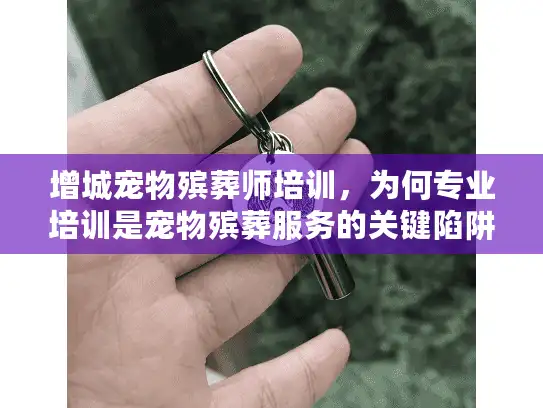 增城宠物殡葬师培训，为何专业培训是宠物殡葬服务的关键陷阱？