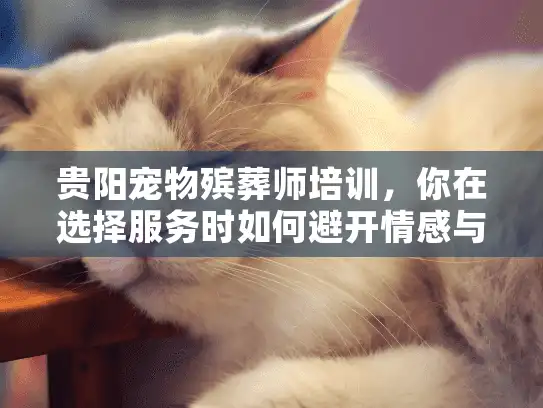 贵阳宠物殡葬师培训，你在选择服务时如何避开情感与金钱陷阱？