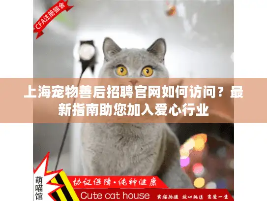上海宠物善后招聘官网如何访问？最新指南助您加入爱心行业