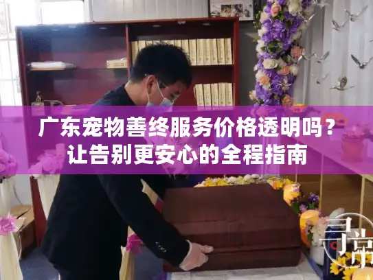 广东宠物善终服务价格透明吗？让告别更安心的全程指南