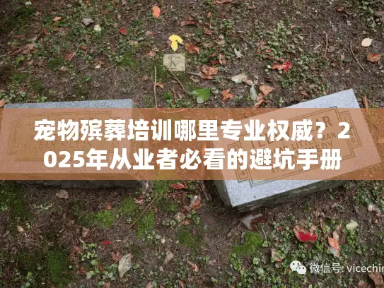 宠物殡葬培训哪里专业权威？2025年从业者必看的避坑手册