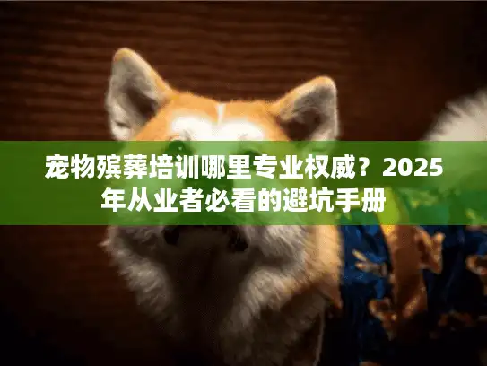 宠物殡葬培训哪里专业权威？2025年从业者必看的避坑手册