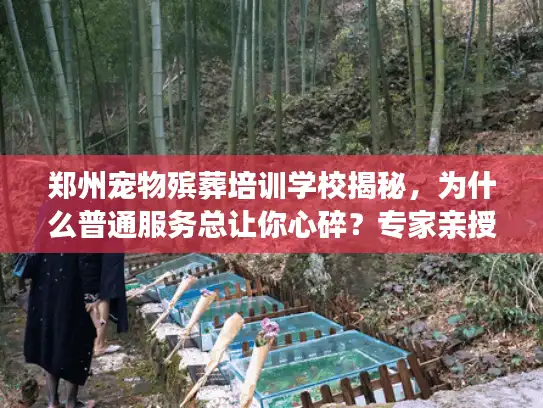 郑州宠物殡葬培训学校揭秘，为什么普通服务总让你心碎？专家亲授避坑法