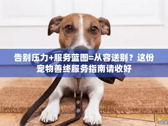 告别压力+服务蓝图=从容送别？这份宠物善终服务指南请收好