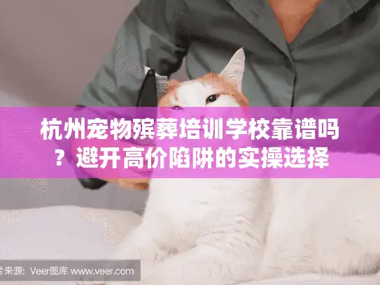 杭州宠物殡葬培训学校靠谱吗？避开高价陷阱的实操选择