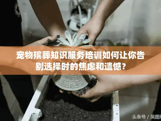 宠物殡葬知识服务培训如何让你告别选择时的焦虑和遗憾？