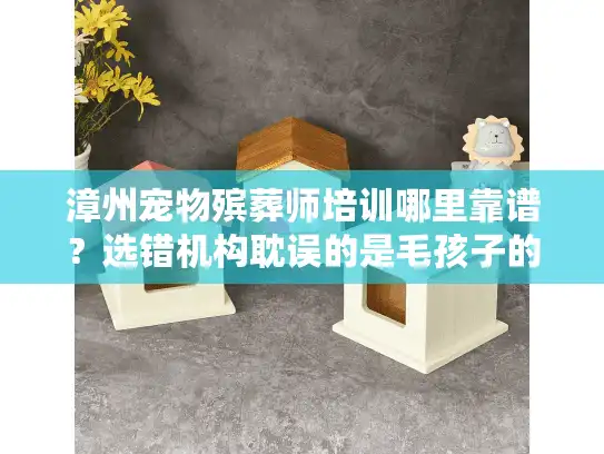 漳州宠物殡葬师培训哪里靠谱？选错机构耽误的是毛孩子的最后一程