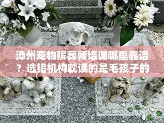 漳州宠物殡葬师培训哪里靠谱？选错机构耽误的是毛孩子的最后一程