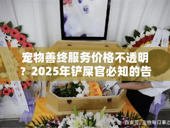 宠物善终服务价格不透明？2025年铲屎官必知的告别指南