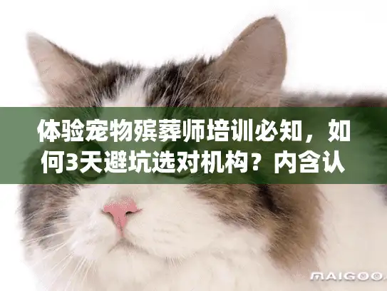 体验宠物殡葬师培训必知，如何3天避坑选对机构？内含认证攻略)