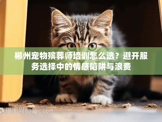 郴州宠物殡葬师培训怎么选？避开服务选择中的情感陷阱与浪费